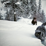 Entry image for Ellie