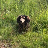 Entry image for Abby