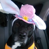 Entry image for Slippers