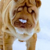 Entry image for Nikki 