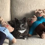 Entry image for Simon (a.k.a. Bubba)