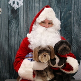 Entry image for Marco&Rolo