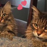 Entry image for Heidi & Masioka