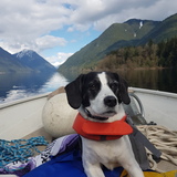 Entry image for Bentley 