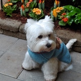 Entry image for Aila