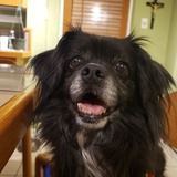 Entry image for Lucky 