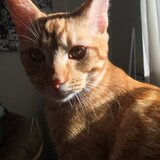 Entry image for Quincy