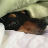 Entry image for Cali