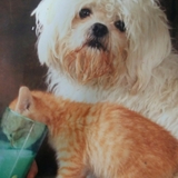 Entry image for Casper and piper