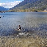 Entry image for Ripley