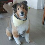 Entry image for Kona