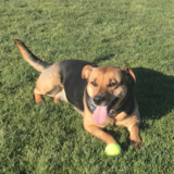 Entry image for Teaka