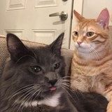 Entry image for Tony & Hamish