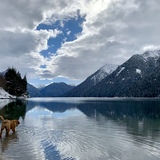 Entry image for Reese 