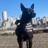 Entry image for Sadie