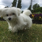 Entry image for Halle Berry