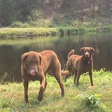 Entry image for Pride & Agnes