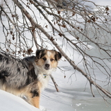 Entry image for Zula 