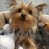 Entry image for Walter 