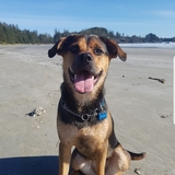 Entry image for Holly 