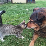 Entry image for Rylee