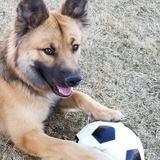 Entry image for Governor 