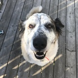 Entry image for Emmalee