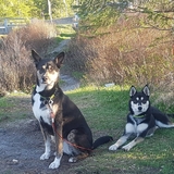 Entry image for Tehkahche and Luna