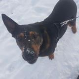 Entry image for Winston