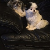 Entry image for Quincy & Diamond