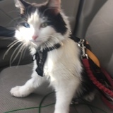 Entry image for Twink