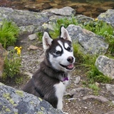 Entry image for Mika