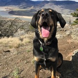 Entry image for Porter