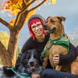 Entry image for Sadie Doo and Max