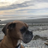 Entry image for Murphy 