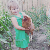 Entry image for Tree