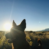 Entry image for Atlas