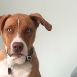 Entry image for Broo