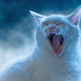 Entry image for Daisy