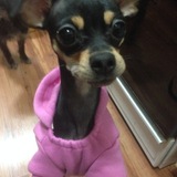 Entry image for Vegas 