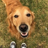 Entry image for Tucker