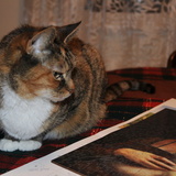 Entry image for Vigée