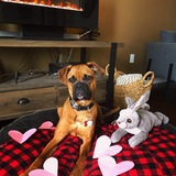 Entry image for Remington