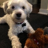 Entry image for Sir Edward Tedworth