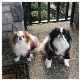 Entry image for Leia and Luke