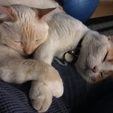 Entry image for Kitty & Luke