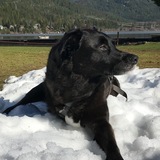 Entry image for Nita