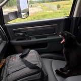 Entry image for Hubert