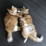 Entry image for Lucy & Ella