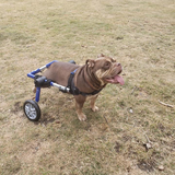 Entry image for Tiny 